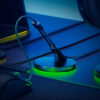 3673593991426.jpg Thunder Snake Mouse