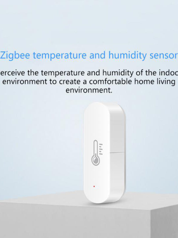 Remote Aleax Voice Control